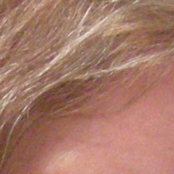 Nikon Coolpix P1 digital camera image