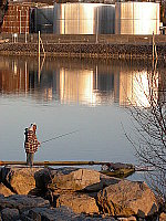 Click to see YCPP2DSCN0067.JPG