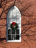 Click to see YDSCN0650.JPG