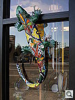 Click to see YDSCN0566.JPG