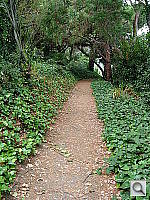 Click to see YDSCN0615.JPG