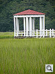 Click to see YDSCN0465.jpg