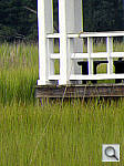 Click to see YDSCN0467.jpg