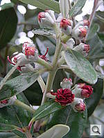 Click to see YDSCN0276.JPG