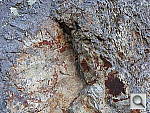 Click to see YDSCN0293.JPG