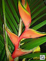 Click to see YDSCN0025.JPG