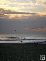 Click to see YDSCN0021.JPG