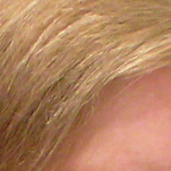 Nikon Coolpix S3 digital camera image