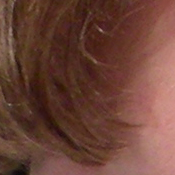 Sony DSC-T33 digital camera image