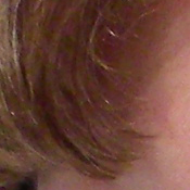 Sony DSC-T33 digital camera image