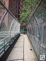 Click to see YDSCN0461.JPG