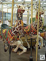 Click to see YDSCN0788.JPG