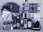 Click to see CPS500hSLCOL_CYANO.JPG