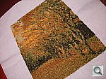 Click to see YDSCN0644.JPG