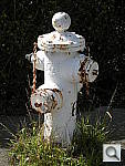 Click to see YDSCN0883.JPG