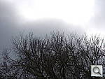 Click to see YDSCN0011.JPG