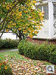 Click to see YDSCN0012.JPG