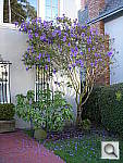 Click to see YDSCN0021.JPG