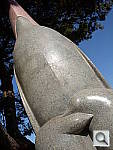 Click to see YDSCN0026.JPG