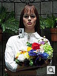 Click to see CPS600OUTBDP3.JPG