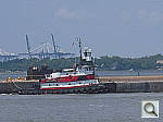 Click to see YDSCN0652.jpg