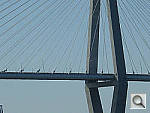 Click to see YDSCN0440.jpg