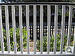 Click to see YDSCN0454.jpg