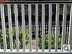 Click to see YDSCN0455.jpg
