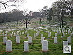 Click to see YDSCN0535.JPG