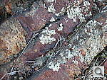 Click to see YDSCN0310.JPG