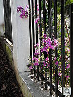 Click to see YDSCN0318.JPG