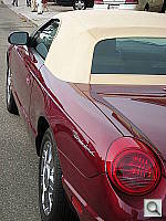 Click to see YDSCN0332.JPG