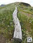 Click to see YDSCN0013.JPG
