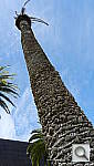 Click to see YDSCN0075.JPG