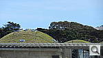 Click to see YDSCN0076.JPG