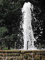 Click to see YIMG_8310.JPG