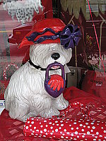 Click to see YIMG_8316.JPG