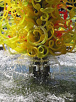 Click to see YIMG_8683.JPG