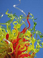 Click to see YIMG_8688.JPG