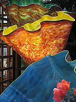 Click to see YIMG_8712.JPG