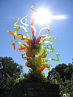 Click to see YIMG_8714.JPG