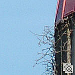 Click to see ZD2HSILO0200crop2.jpg