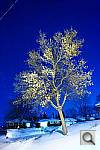 Click to see YD3_2009-01-08_20-34-30.JPG