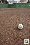 Click to see Y_DSC6789.JPG