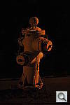 Click to see Y_DSC7156.JPG