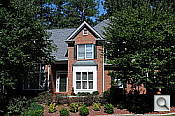 Click to see D300SFARI0200.JPG