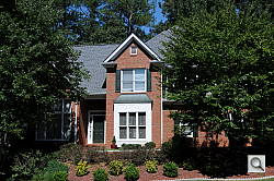 Click to see D300SFARI0200.JPG