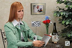 Click to see D300SINBMP1.JPG