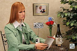 Click to see D300SINBTP1.JPG