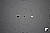 Click to see D3100FL08T.JPG